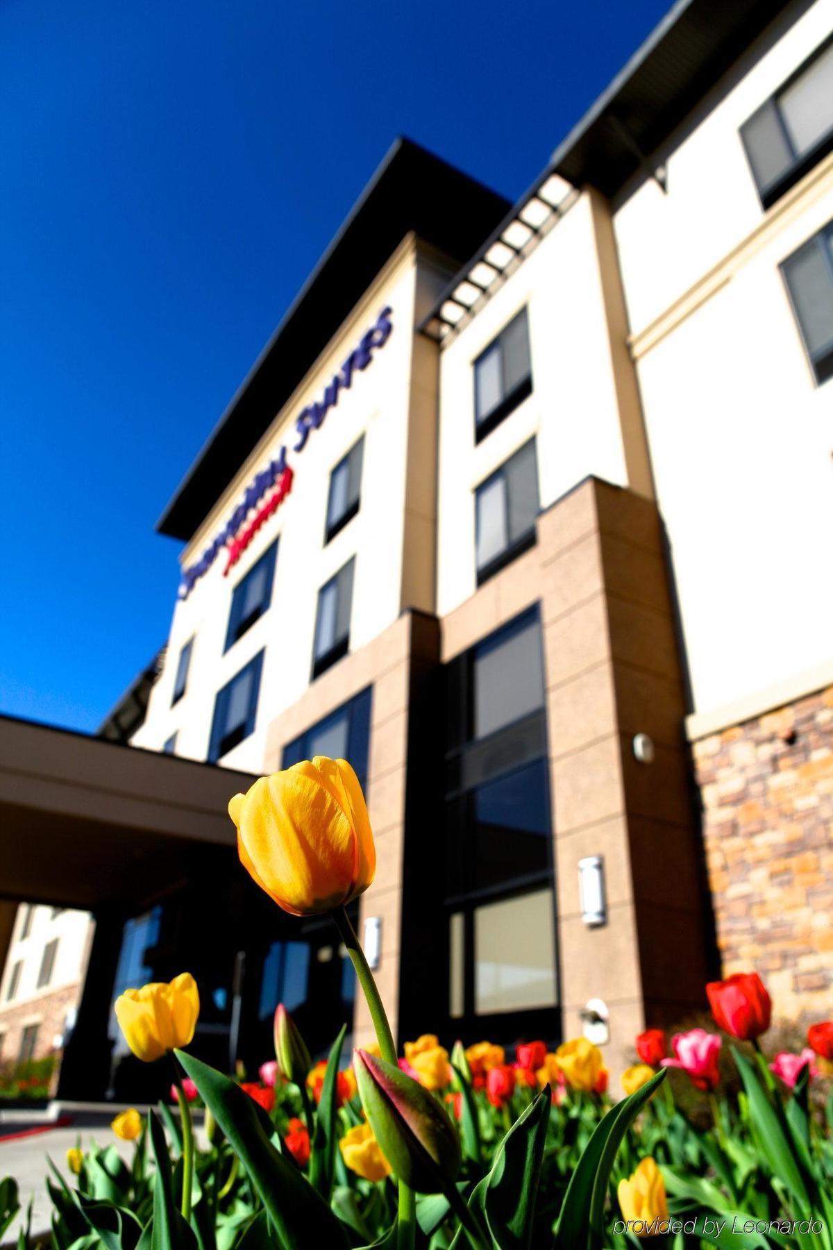 Springhill Suites By Marriott Logan Dış mekan fotoğraf